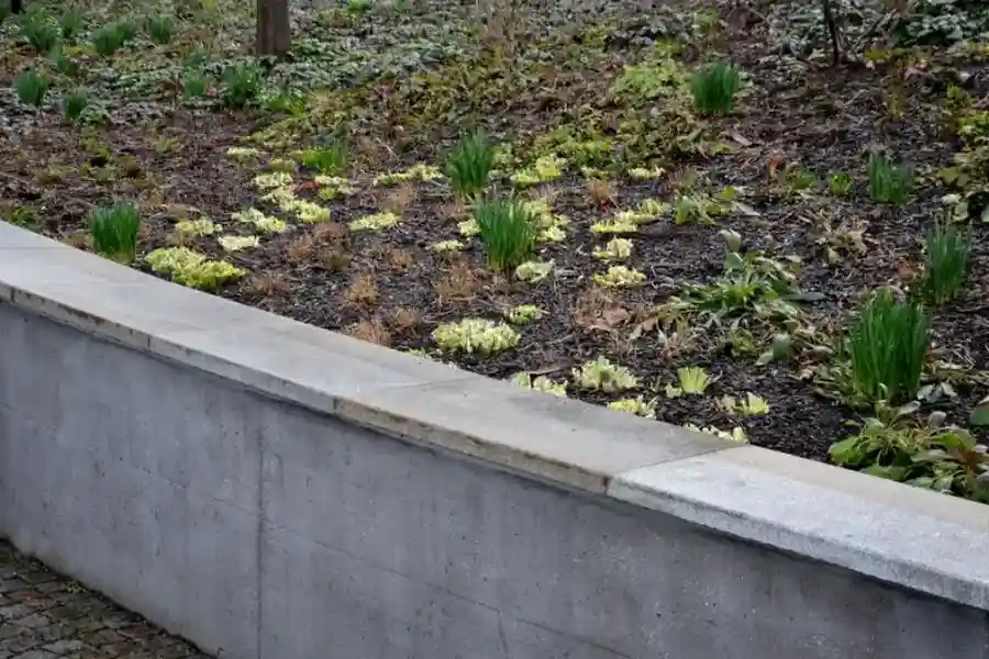 Reliable Retaining Wall Installation Kemp, TX